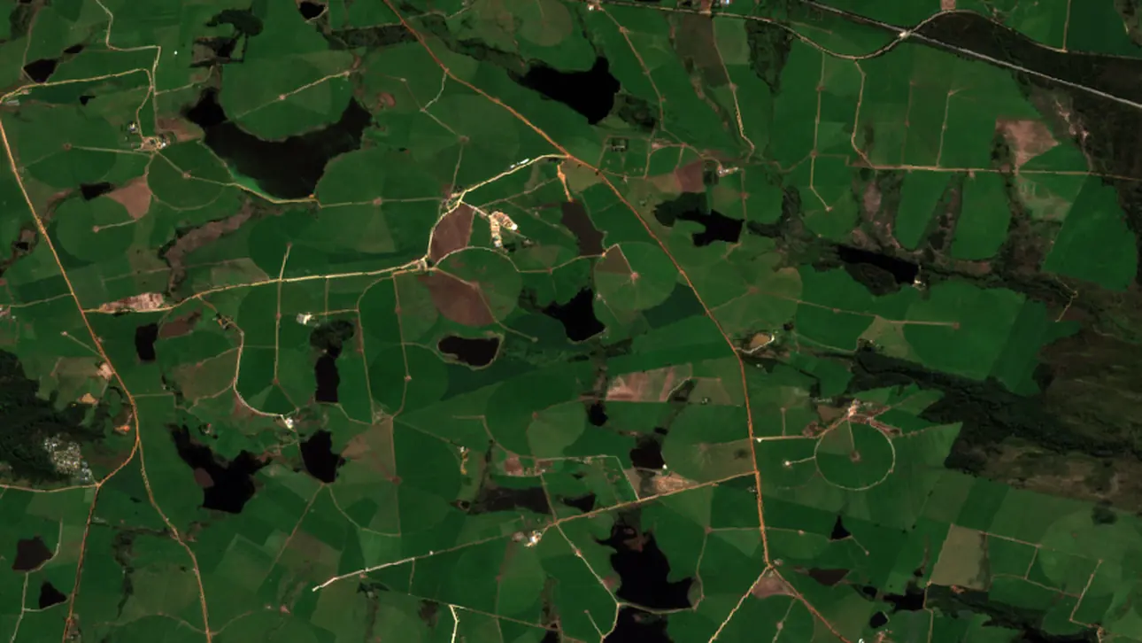 Satellite image of dairy pasture camps and centre pivots on the Tsitsikamma coast, shown in natural colour and as a plant vigour map
